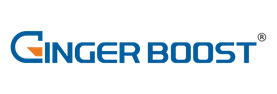 Ginger Boost IT LTD